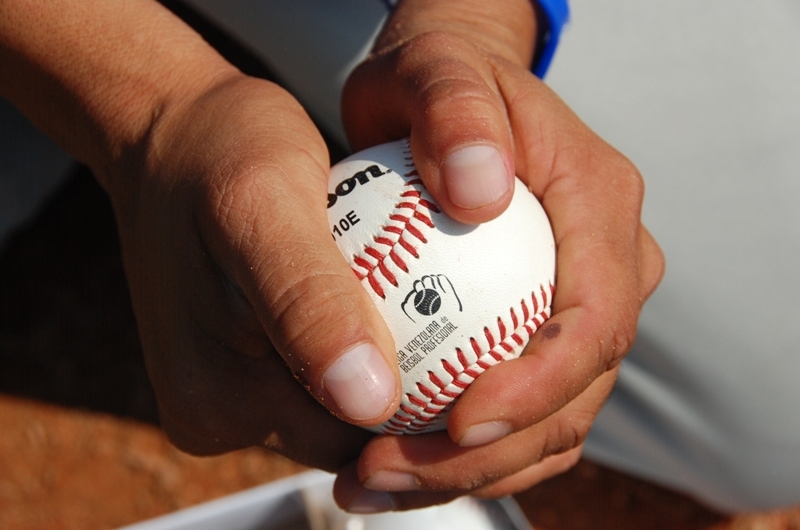 La LVBP trabaja para la realización del campeonato 2019-2020