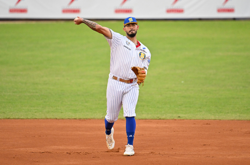 Magallanes cayó ante los Tigres en Valencia
